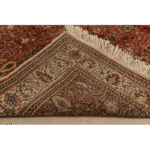 Nava - Image 3